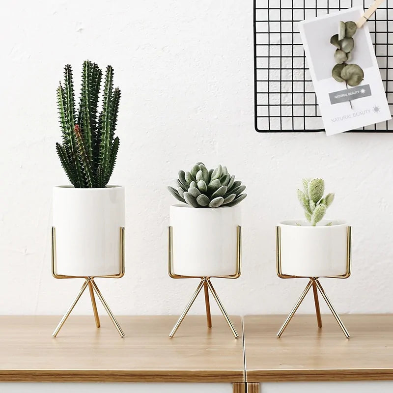 Nordic Style Minimalist Ceramic Vase